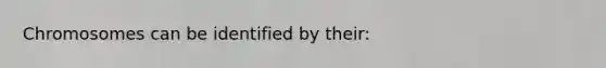 Chromosomes can be identified by their: