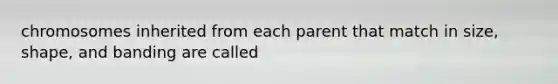 chromosomes inherited from each parent that match in size, shape, and banding are called