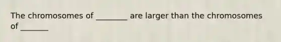 The chromosomes of ________ are larger than the chromosomes of _______