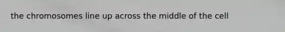 the chromosomes line up across the middle of the cell