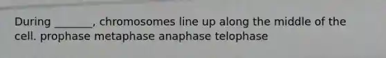 During _______, chromosomes line up along the middle of the cell. prophase metaphase anaphase telophase