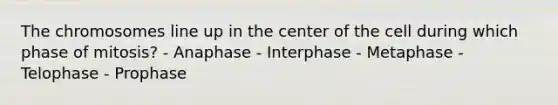 The chromosomes line up in the center of the cell during which phase of mitosis? - Anaphase - Interphase - Metaphase - Telophase - Prophase