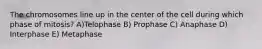 The chromosomes line up in the center of the cell during which phase of mitosis? A)Telophase B) Prophase C) Anaphase D) Interphase E) Metaphase