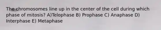 The chromosomes line up in the center of the cell during which phase of mitosis? A)Telophase B) Prophase C) Anaphase D) Interphase E) Metaphase