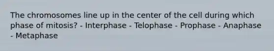 The chromosomes line up in the center of the cell during which phase of mitosis? - Interphase - Telophase - Prophase - Anaphase - Metaphase