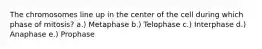 The chromosomes line up in the center of the cell during which phase of mitosis? a.) Metaphase b.) Telophase c.) Interphase d.) Anaphase e.) Prophase