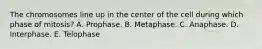 The chromosomes line up in the center of the cell during which phase of mitosis? A. Prophase. B. Metaphase. C. Anaphase. D. Interphase. E. Telophase