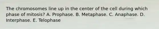 The chromosomes line up in the center of the cell during which phase of mitosis? A. Prophase. B. Metaphase. C. Anaphase. D. Interphase. E. Telophase