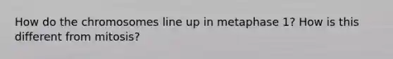 How do the chromosomes line up in metaphase 1? How is this different from mitosis?