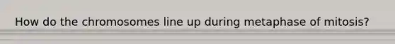 How do the chromosomes line up during metaphase of mitosis?
