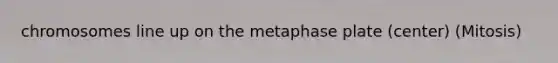 chromosomes line up on the metaphase plate (center) (Mitosis)