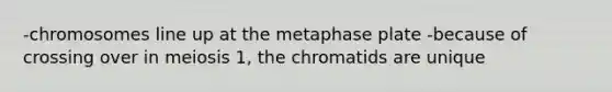 -chromosomes line up at the metaphase plate -because of crossing over in meiosis 1, the chromatids are unique