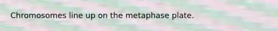 Chromosomes line up on the metaphase plate.