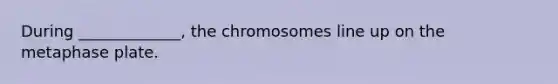 During _____________, the chromosomes line up on the metaphase plate.