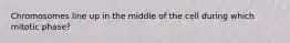 Chromosomes line up in the middle of the cell during which mitotic phase?