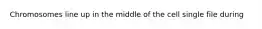 Chromosomes line up in the middle of the cell single file during