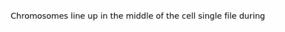 Chromosomes line up in the middle of the cell single file during