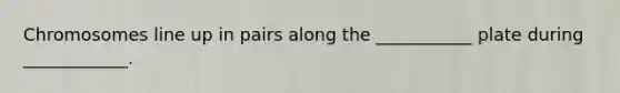 Chromosomes line up in pairs along the ___________ plate during ____________.