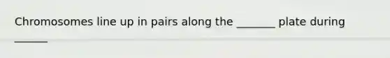 Chromosomes line up in pairs along the _______ plate during ______