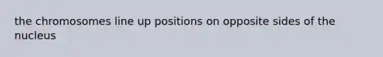 the chromosomes line up positions on opposite sides of the nucleus