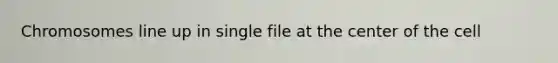 Chromosomes line up in single file at the center of the cell