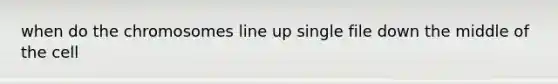 when do the chromosomes line up single file down the middle of the cell