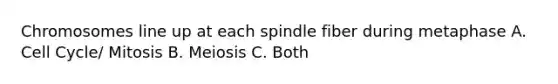 Chromosomes line up at each spindle fiber during metaphase A. Cell Cycle/ Mitosis B. Meiosis C. Both