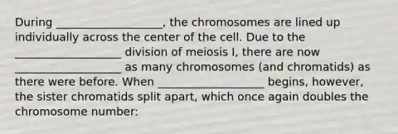 During ___________________, the chromosomes are lined up individually across the center of the cell. Due to the ___________________ division of meiosis I, there are now ___________________ as many chromosomes (and chromatids) as there were before. When ___________________ begins, however, the sister chromatids split apart, which once again doubles the chromosome number: