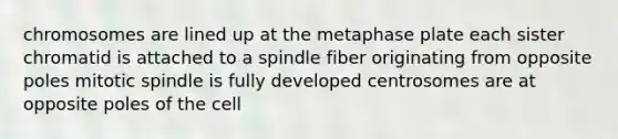 chromosomes are lined up at the metaphase plate each sister chromatid is attached to a spindle fiber originating from opposite poles mitotic spindle is fully developed centrosomes are at opposite poles of the cell