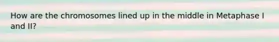 How are the chromosomes lined up in the middle in Metaphase I and II?