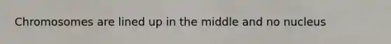 Chromosomes are lined up in the middle and no nucleus