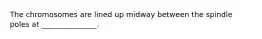 The chromosomes are lined up midway between the spindle poles at _______________.