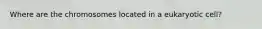 Where are the chromosomes located in a eukaryotic cell?