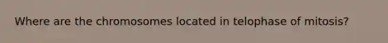 Where are the chromosomes located in telophase of mitosis?