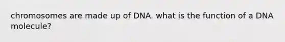 chromosomes are made up of DNA. what is the function of a DNA molecule?