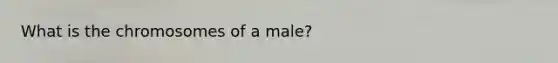 What is the chromosomes of a male?