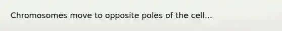 Chromosomes move to opposite poles of the cell...
