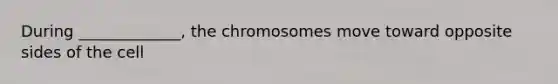 During _____________, the chromosomes move toward opposite sides of the cell