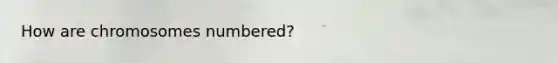 How are chromosomes numbered?