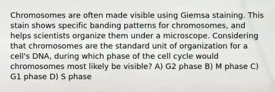 Chromosomes are often made visible using Giemsa staining. This stain shows specific banding patterns for chromosomes, and helps scientists organize them under a microscope. Considering that chromosomes are the standard unit of organization for a cell's DNA, during which phase of the <a href='https://www.questionai.com/knowledge/keQNMM7c75-cell-cycle' class='anchor-knowledge'>cell cycle</a> would chromosomes most likely be visible? A) G2 phase B) M phase C) G1 phase D) S phase