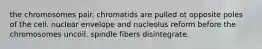 the chromosomes pair. chromatids are pulled ot opposite poles of the cell. nuclear envelope and nucleolus reform before the chromosomes uncoil. spindle fibers disintegrate.