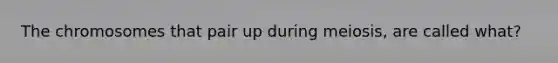 The chromosomes that pair up during meiosis, are called what?