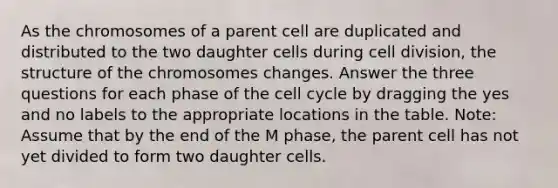 As the chromosomes of a parent cell are duplicated and distributed to the two daughter cells during <a href='https://www.questionai.com/knowledge/kjHVAH8Me4-cell-division' class='anchor-knowledge'>cell division</a>, the structure of the chromosomes changes. Answer the three questions for each phase of the <a href='https://www.questionai.com/knowledge/keQNMM7c75-cell-cycle' class='anchor-knowledge'>cell cycle</a> by dragging the yes and no labels to the appropriate locations in the table. Note: Assume that by the end of the M phase, the parent cell has not yet divided to form two daughter cells.