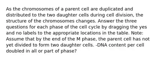 As the chromosomes of a parent cell are duplicated and distributed to the two daughter cells during cell division, the structure of the chromosomes changes. Answer the three questions for each phase of the cell cycle by dragging the yes and no labels to the appropriate locations in the table. Note: Assume that by the end of the M phase, the parent cell has not yet divided to form two daughter cells. -DNA content per cell doubled in all or part of phase?