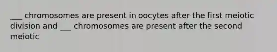 ___ chromosomes are present in oocytes after the first meiotic division and ___ chromosomes are present after the second meiotic