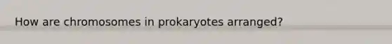 How are chromosomes in prokaryotes arranged?