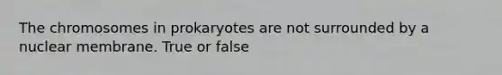 The chromosomes in prokaryotes are not surrounded by a nuclear membrane. True or false