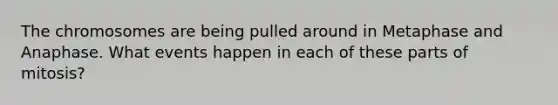 The chromosomes are being pulled around in Metaphase and Anaphase. What events happen in each of these parts of mitosis?