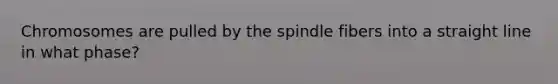 Chromosomes are pulled by the spindle fibers into a straight line in what phase?