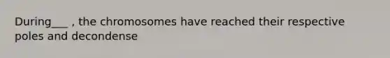 During___ , the chromosomes have reached their respective poles and decondense